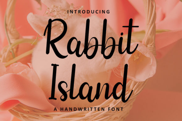 Rabbit Island: The Handwritten Font for Scroll-Stopping Brands