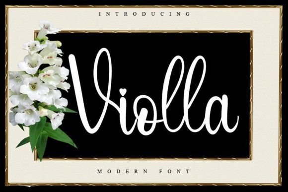 Violla: A Designer's Honest Review for Real Branding Projects